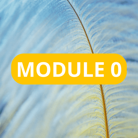 MODULE 0 – Découverte du métier d’expert conseil en gestion de patrimoine