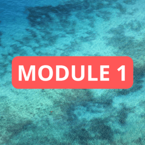 MODULE 1 – Audit de la situation juridique des personnes et des biens et stratégies patrimoniales civiles