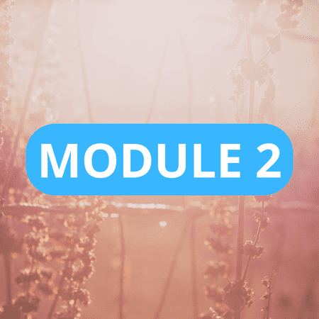 MODULE 2.1 – Audit de la situation financière et stratégies d’investissements patrimoniaux