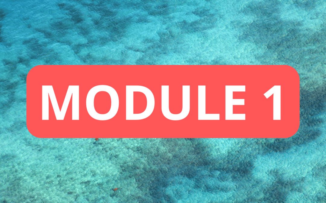 MODULE 1 CFC -AUDIT DE LA SITUATION JURIDIQUE DES PERSONNES ET DES BIENS ET « STRATEGIES PATRIMONIALES CIVILES »