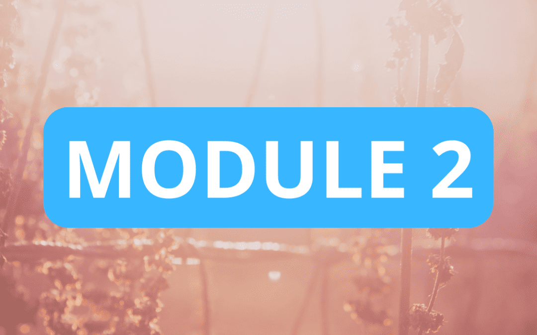 MODULE 2.2. CFC AUDIT DE LA SITUATION FINANCIERE ET STRATEGIES D’INVESTISSEMENT PATRIMONIAUX