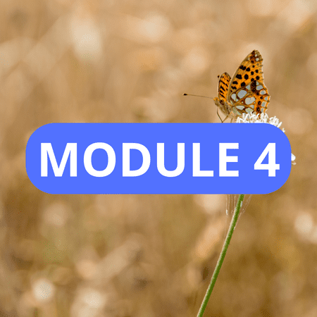 MODULE 4 – Audit fiscal et gestion de la contribution fiscale familiale