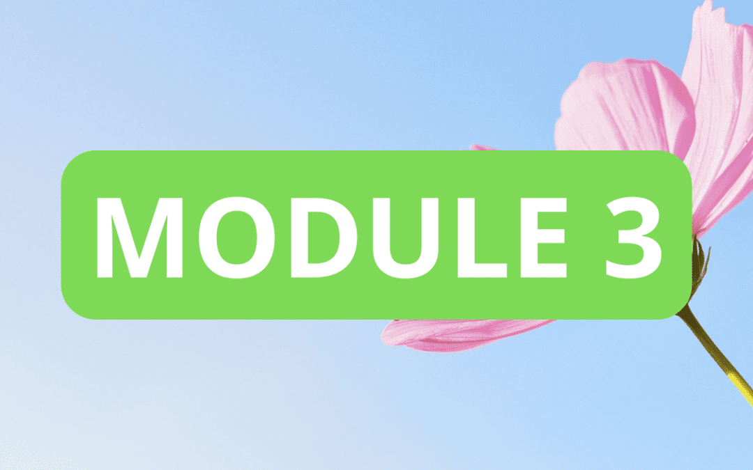 MODULE 3 CFC . AUDIT ASSURANTIEL ET SOCIAL ET STRATEGIES DE LA PROTECTION POUR LES PERSONNES ET LE PATRIMOINE