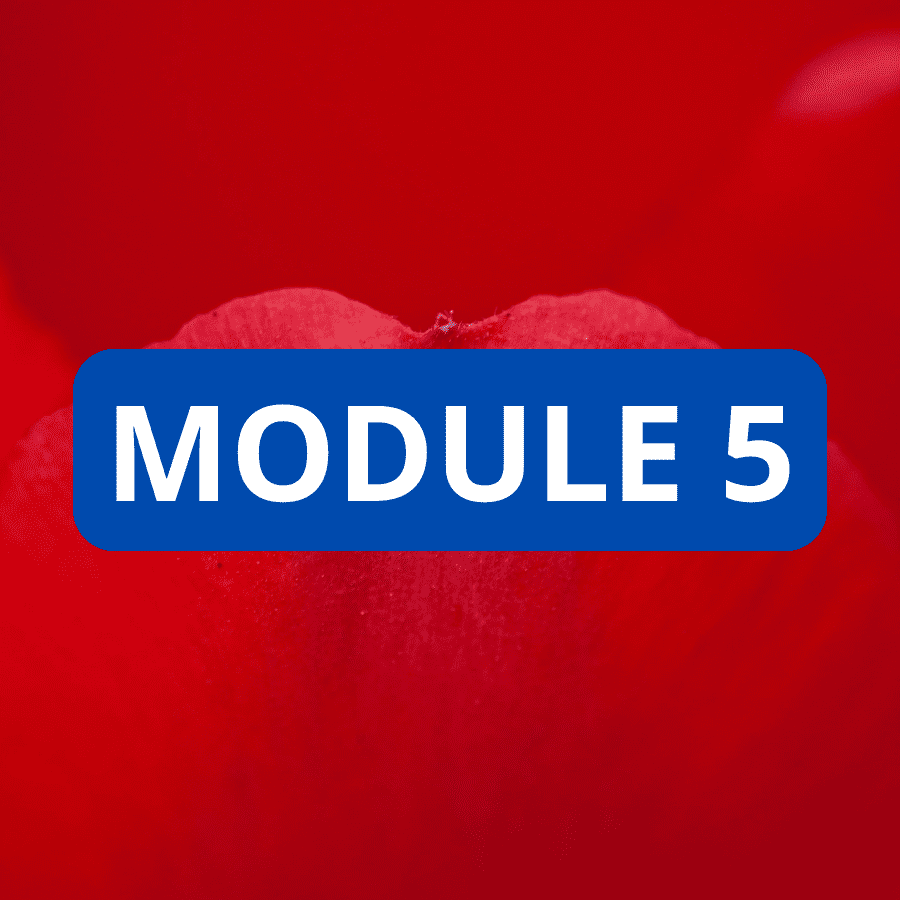 MODULE 5 – Réglementation et normes de qualité du conseil en gestion de patrimoine