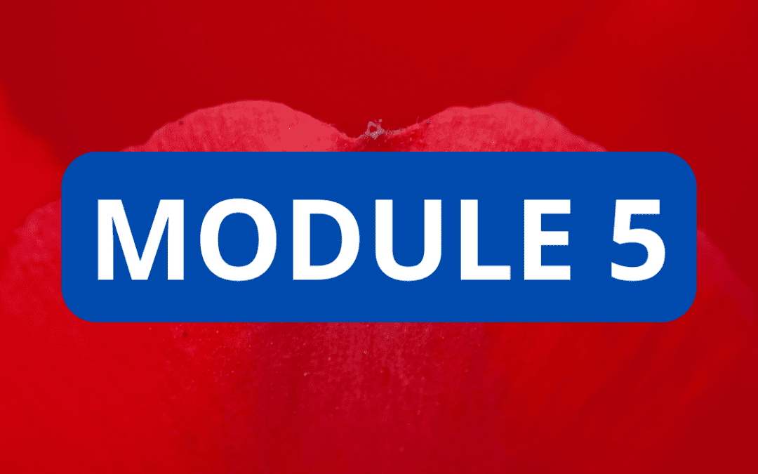 MODULE 5 CFC – REGLEMENTATION ET NORMES DE PRATIQUE DU CONSEIL EN GESTION DE PATRIMOINE