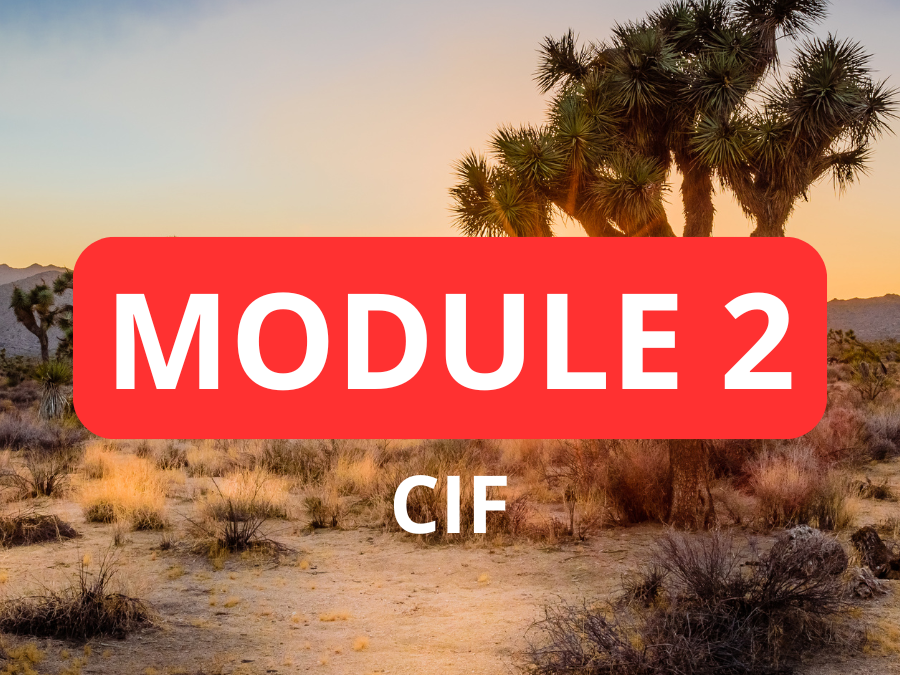 Module 2 CIF