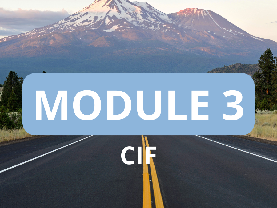Module 3 CIF