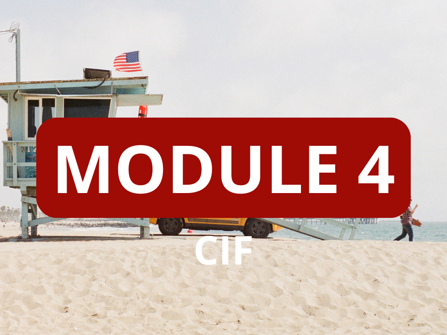 Module 4 CIF
