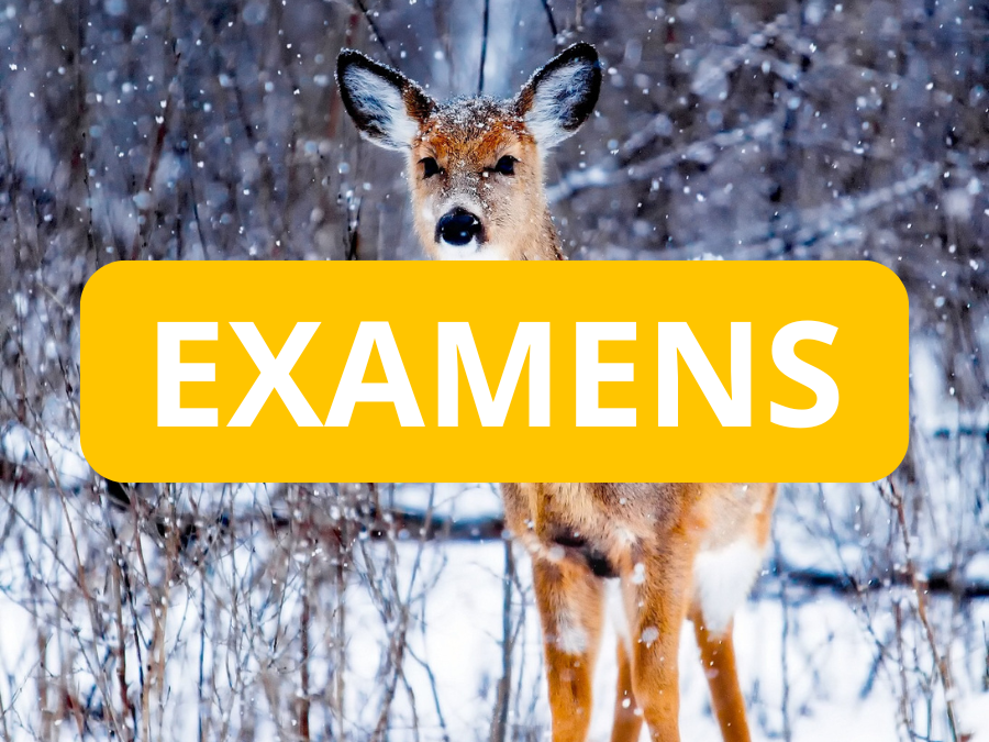 EXAMEN DE CERTIFICATION CFP®/CGPC – ISG 2025 – 3 Février 2025