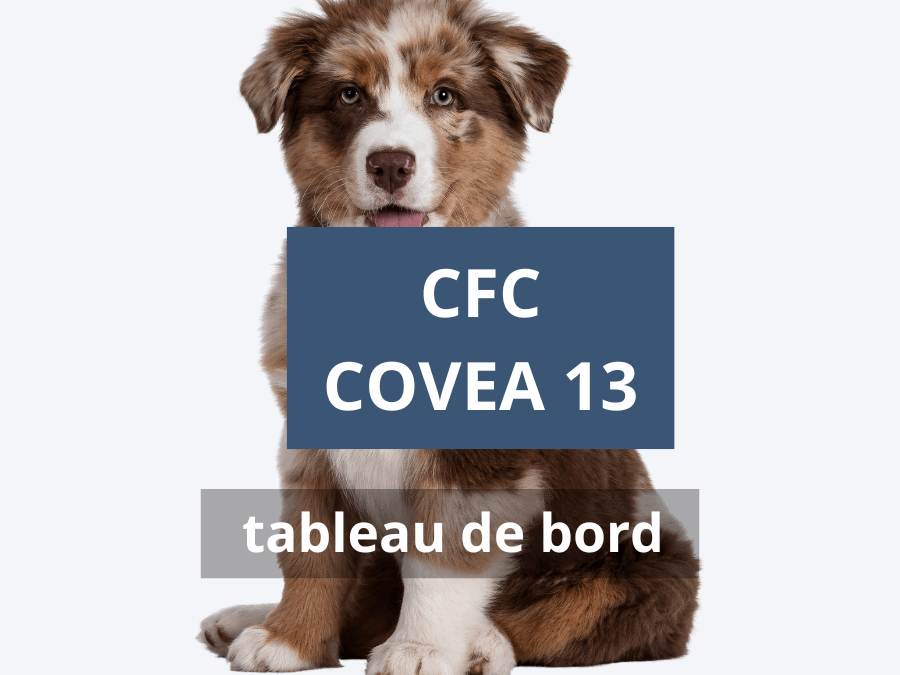 NFORMATIONS CFC COVEA 13