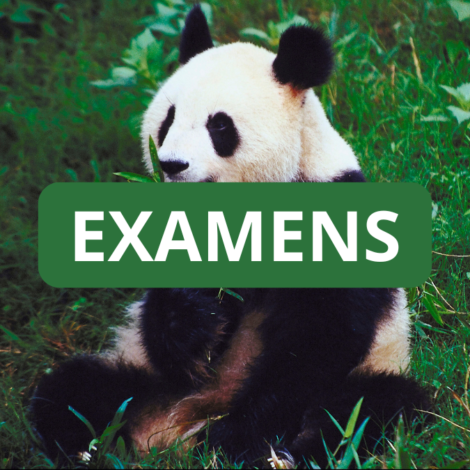 EXAMEN DE CERTIFICATION CFP®/CGPC – 20 février 2025