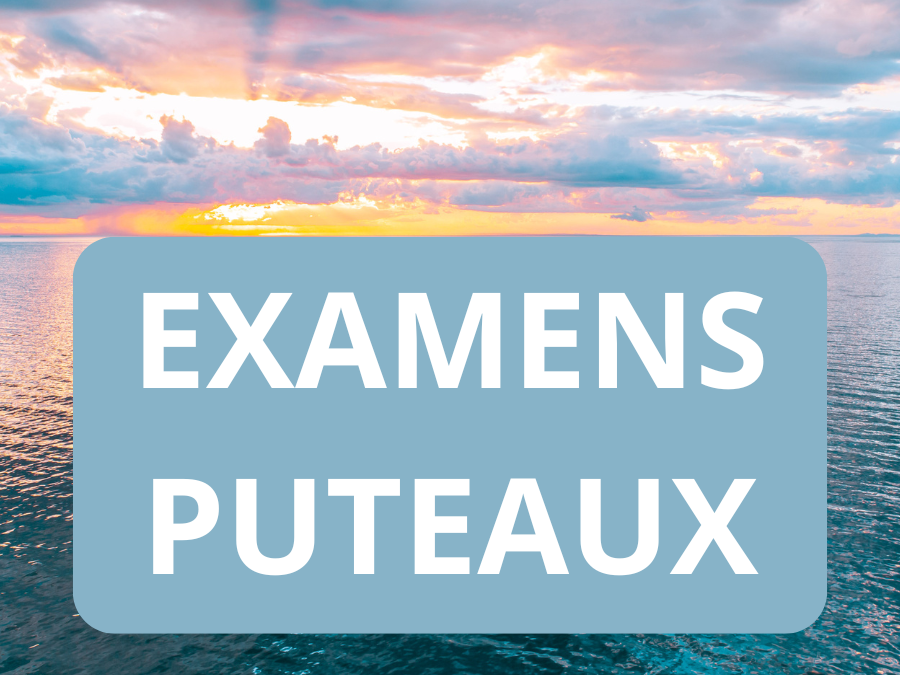 EXAMEN DE CERTIFICATION CFP®/CGPC – 20 février 2025 PUTEAUX